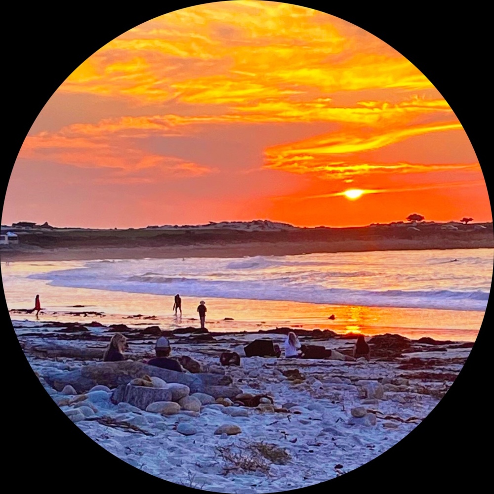 Meet your Posher, Sharanya